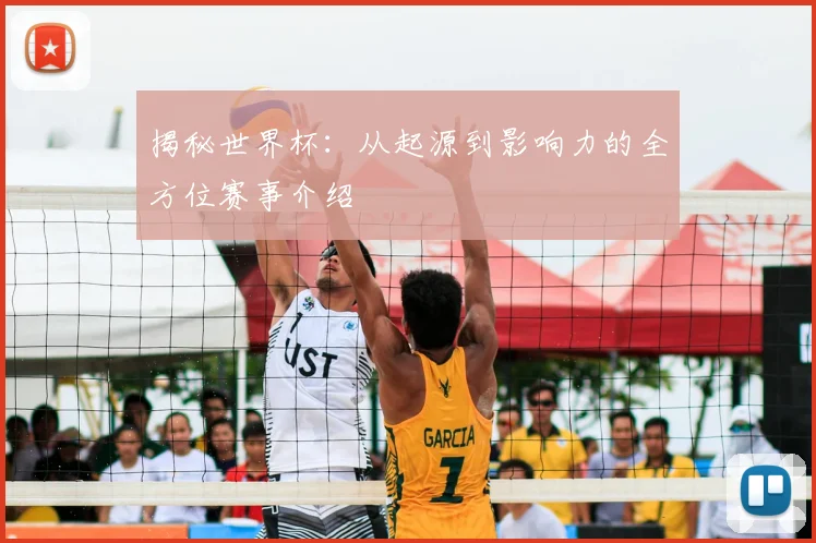 揭秘世界杯：从起源到影响力的全方位赛事介绍