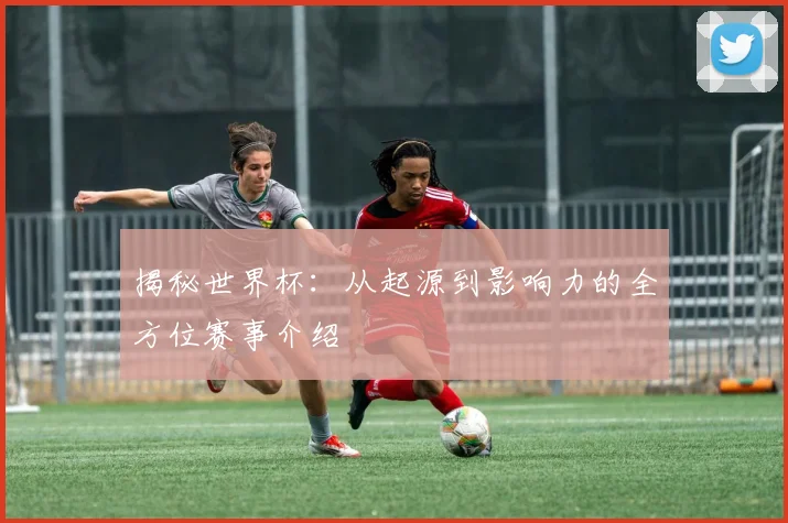 揭秘世界杯:从起源到影响力的全方位赛事介绍